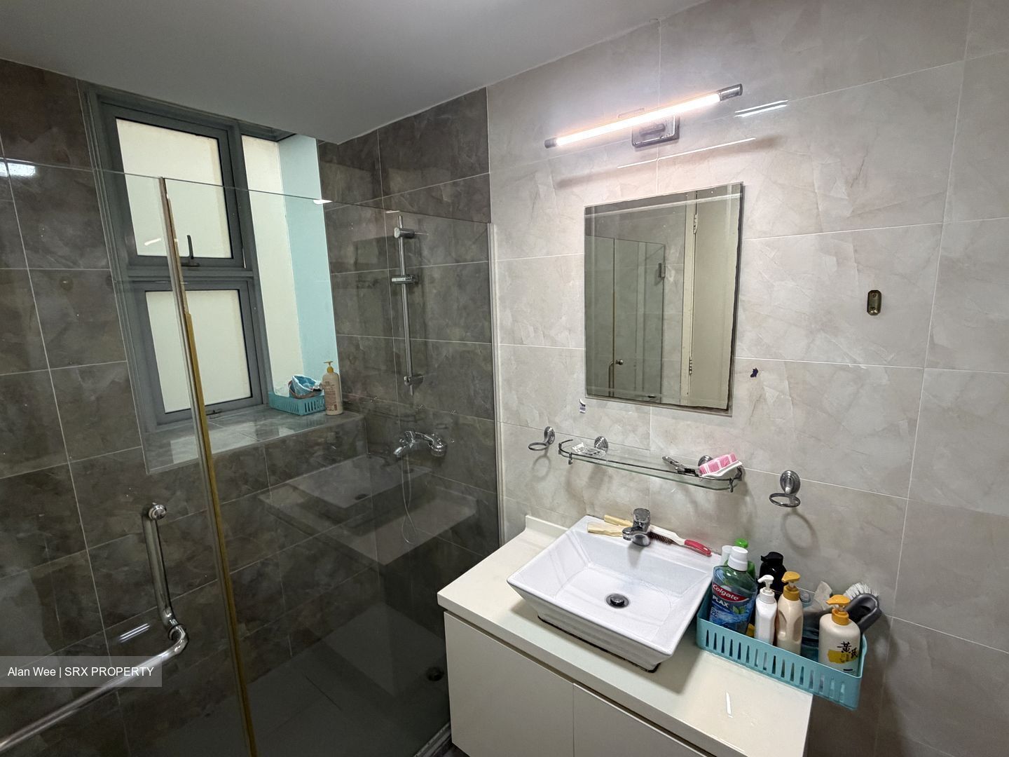 Park Green (D19), Condominium #579512081